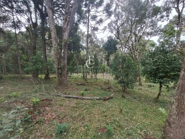 Imagem 11: Chácara à venda em Piraquara, Roça Nova, 20000m²
