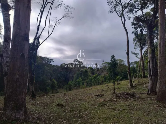 Imagem 12: Chácara à venda em Piraquara, Roça Nova, 20000m²