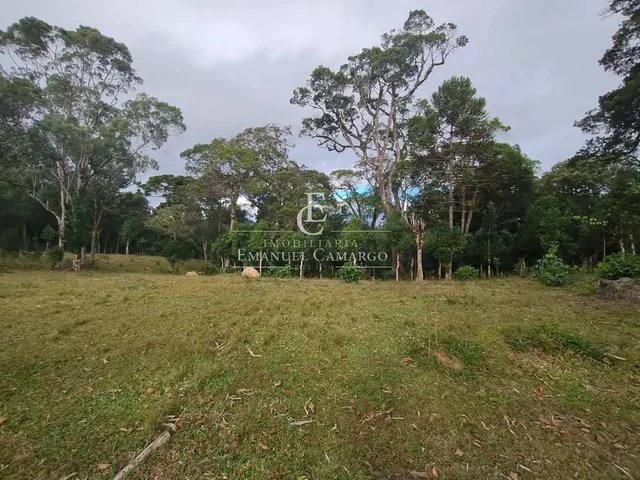 Imagem 14: Chácara à venda em Piraquara, Roça Nova, 20000m²