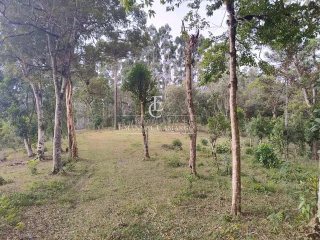 Imagem 15: Chácara à venda em Piraquara, Roça Nova, 20000m²