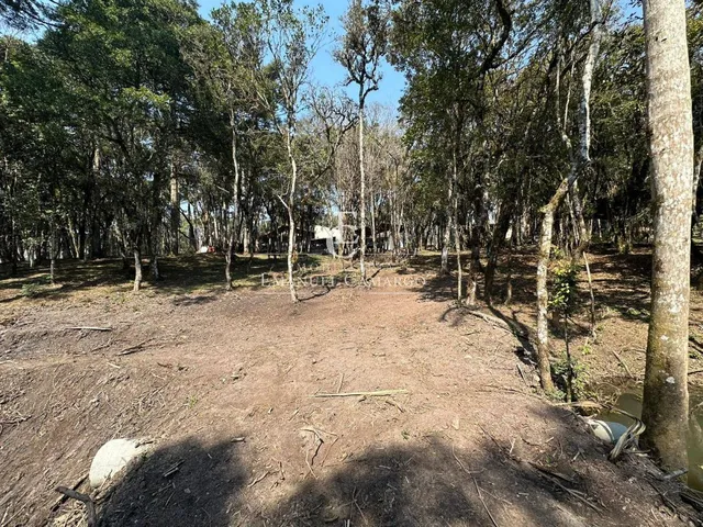Imagem 10: Chácara com 3 quartos, 120m², à venda em Piraquara, Marmeleiro