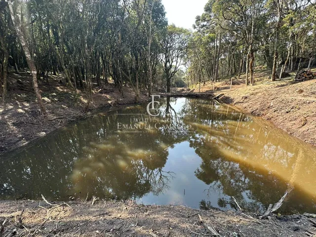 Imagem 11: Chácara com 3 quartos, 120m², à venda em Piraquara, Marmeleiro