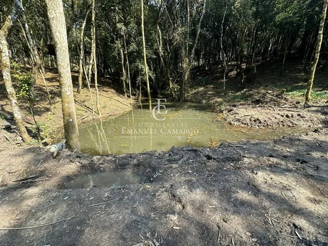 Imagem 12: Chácara com 3 quartos, 120m², à venda em Piraquara, Marmeleiro