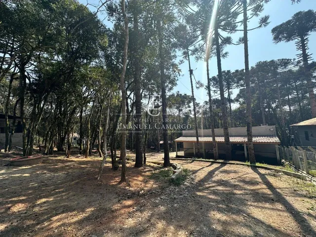 Imagem 16: Chácara com 3 quartos, 120m², à venda em Piraquara, Marmeleiro