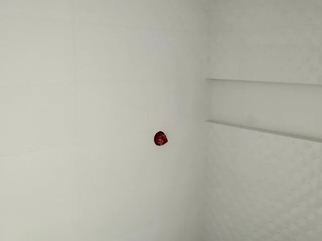 Imagem 14: Vende - Apartamento no Ed Octaviano Marcante, Centro, Pato Branco - Pr