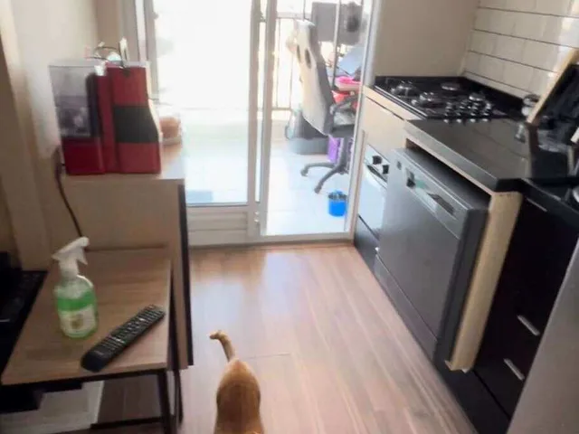 Imagem: Apartamento À Venda, Metrocasa Campo Limpo