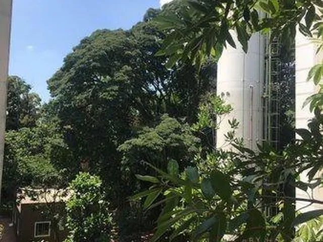 Imagem 14: Apartamento 2 Quartos e 1 Vaga. Excelente Região