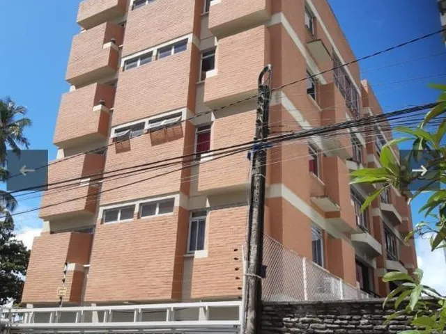 Imagem: Edf. Molusco