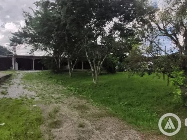 Imagem 4: Terreno Comercial com Duas Casas em Cima
