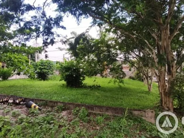 Imagem 12: Terreno Comercial com Duas Casas em Cima