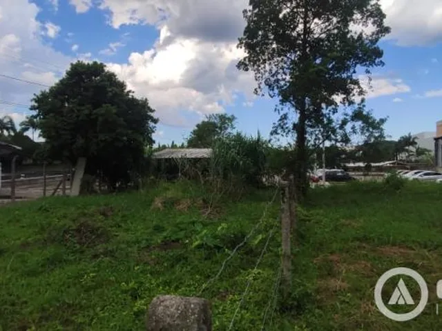 Imagem 7: Terreno Comercial com Duas Casas em Cima