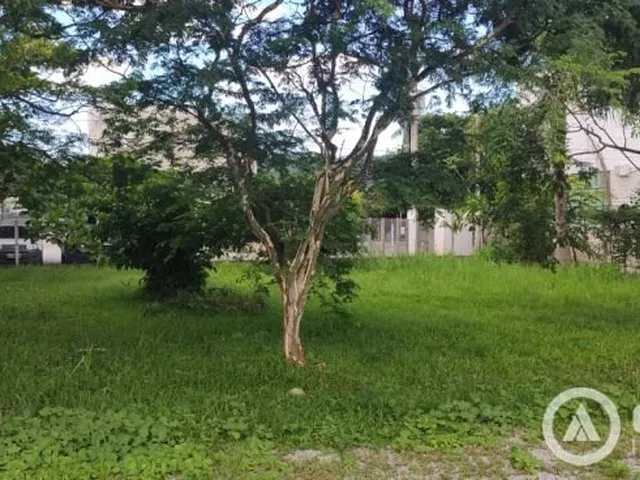 Imagem 2: Terreno Comercial com Duas Casas em Cima