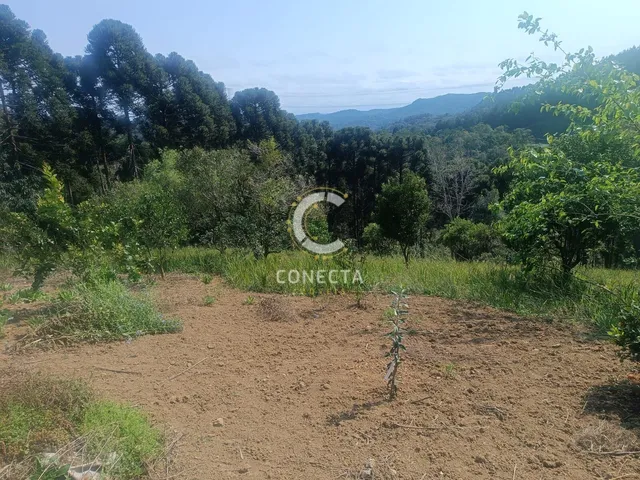 Imagem 6: Chácara em Vila Campesi, Campo Largo/PR
