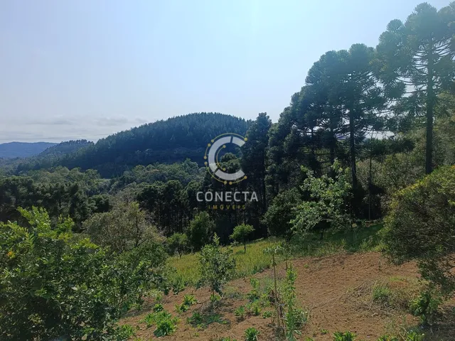 Imagem 10: Chácara em Vila Campesi, Campo Largo/PR
