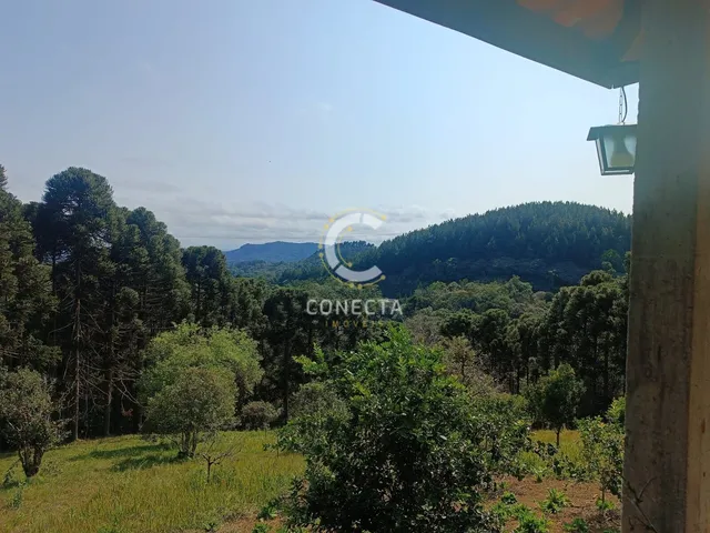Imagem 13: Chácara em Vila Campesi, Campo Largo/PR