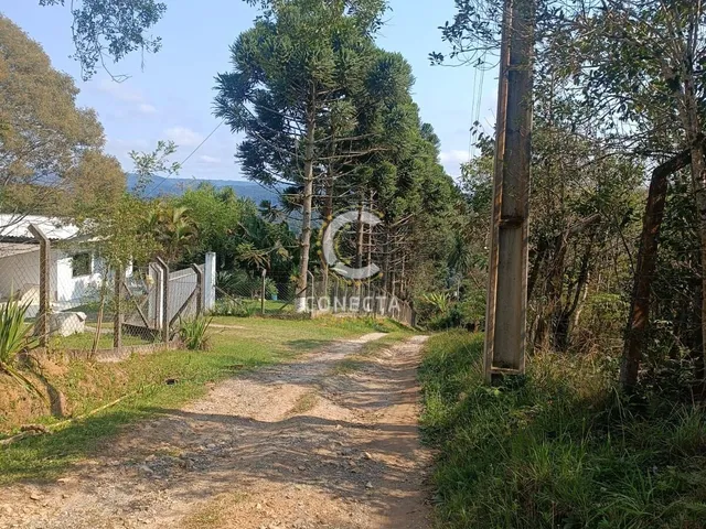 Imagem 8: Chácara em Vila Campesi, Campo Largo/PR