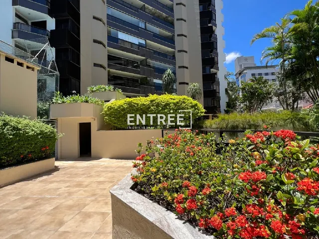 Imagem 10: Apartamento 4 Quartos (sendo 2 Suítes) e 2 Vagas - Agronômica