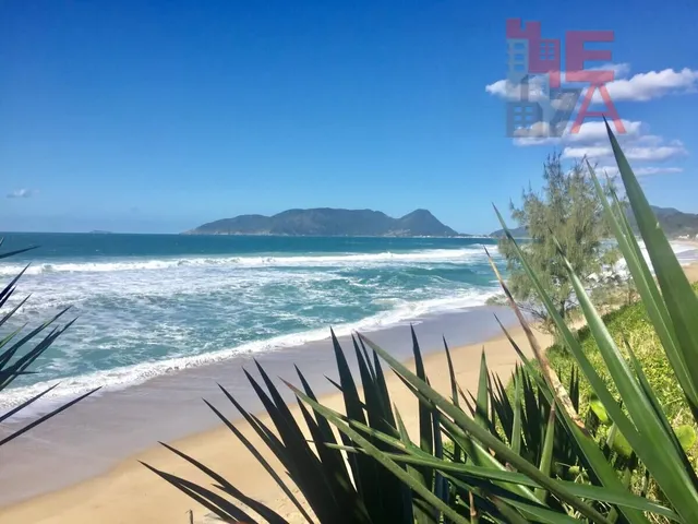 Imagem 12: Apartamento à venda no bairro Campeche - Florianópolis/SC