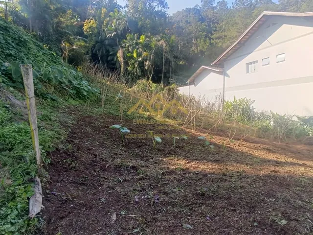 Imagem: Lote/Terreno - Centro - Pomerode