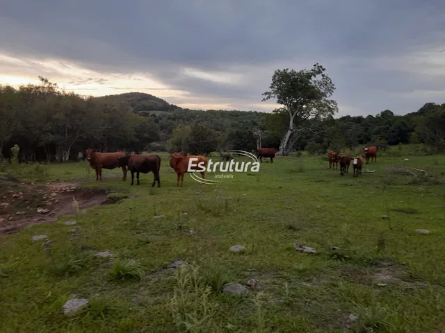 Imagem: Uma Excelente Chácara no Interior de São