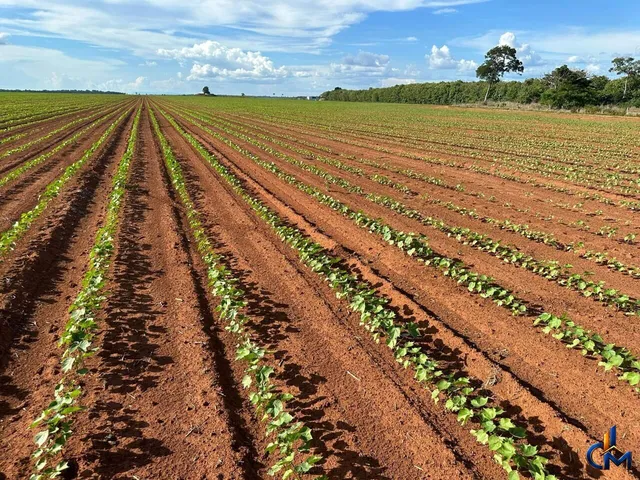 Imagem 2: Fazenda em Pontes e Lacerda