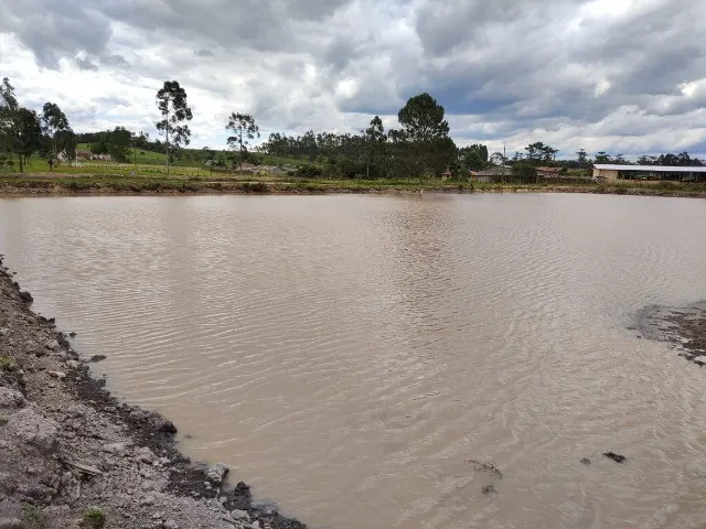 Imagem 4: LINDO SITIO COM 24.000 M² COM CASA, LAGOA, POMAR DE FRUTAS, LOCALIDADE DE MIRADOR RIO