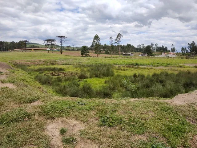 Imagem 7: LINDO SITIO COM 24.000 M² COM CASA, LAGOA, POMAR DE FRUTAS, LOCALIDADE DE MIRADOR RIO