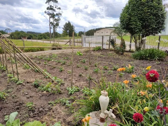 Imagem 13: LINDO SITIO COM 24.000 M² COM CASA, LAGOA, POMAR DE FRUTAS, LOCALIDADE DE MIRADOR RIO