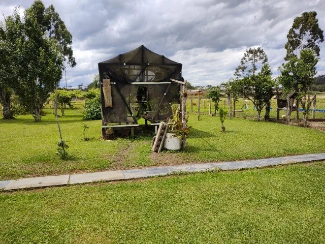 Imagem 9: LINDO SITIO COM 24.000 M² COM CASA, LAGOA, POMAR DE FRUTAS, LOCALIDADE DE MIRADOR RIO