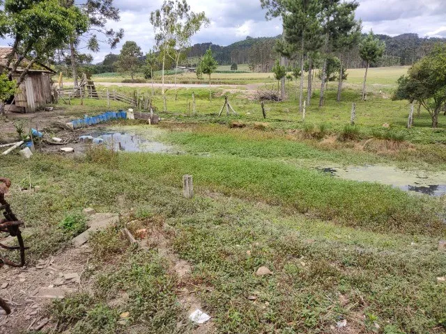 Imagem 5: LINDO SITIO COM 24.000 M² COM CASA, LAGOA, POMAR DE FRUTAS, LOCALIDADE DE MIRADOR RIO
