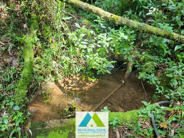 Imagem 14: LINDO SÍTIO DE 18 HECTARES, EM BOCAINA DE MINAS, COM MUITA ÁGUA E LINDA MATA