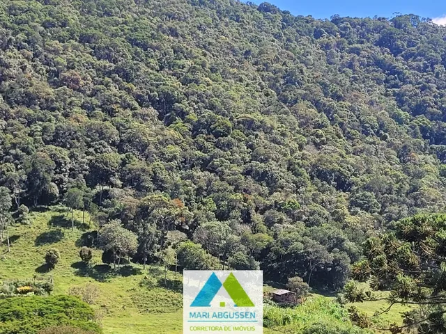 Imagem 7: LINDO SÍTIO DE 18 HECTARES, EM BOCAINA DE MINAS, COM MUITA ÁGUA E LINDA MATA