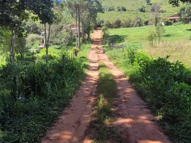 Imagem 5: LINDO SÍTIO DE 18 HECTARES, EM BOCAINA DE MINAS, COM MUITA ÁGUA E LINDA MATA
