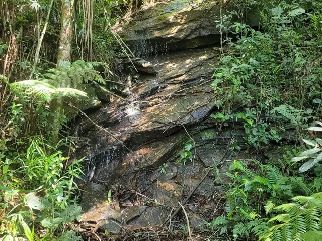 Imagem 12: LINDO SÍTIO DE 18 HECTARES, EM BOCAINA DE MINAS, COM MUITA ÁGUA E LINDA MATA