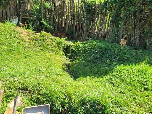 Imagem 15: LINDO SÍTIO DE 18 HECTARES, EM BOCAINA DE MINAS, COM MUITA ÁGUA E LINDA MATA