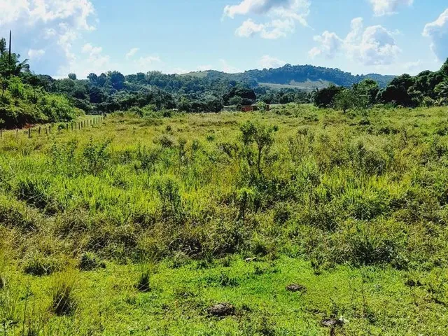 Imagem: Fazenda para Venda em Rio Bonito, Sambê