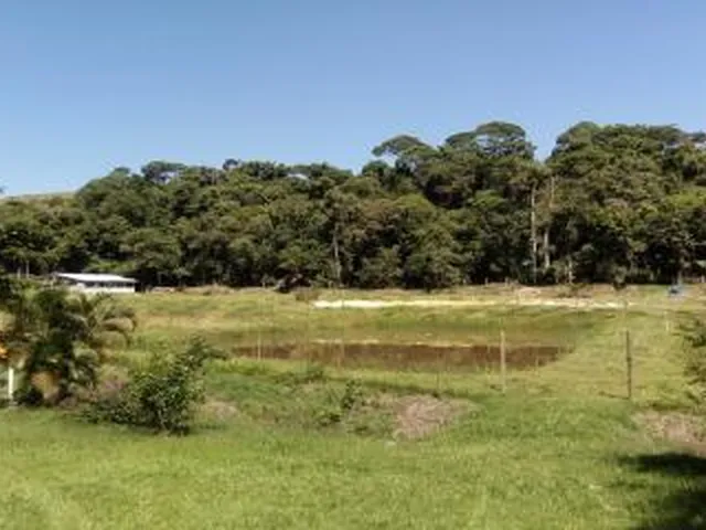 Imagem 11: Sítio para Venda em Cachoeiras de Macacu, Marubaí, 3 Dormitórios, 1 Suíte, 1