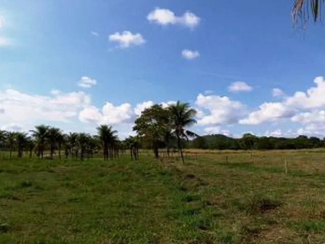 Imagem 4: Sítio para Venda em Cachoeiras de Macacu, Vecchi, 3 dormitórios, 2 suítes, 2
