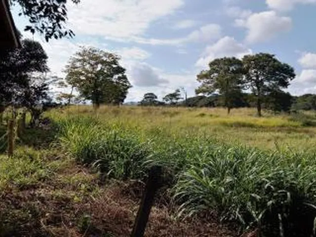 Imagem 12: Sítio para Venda em Cachoeiras de Macacu, Vecchi, 3 dormitórios, 2 suítes, 2