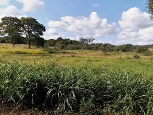 Imagem 15: Sítio para Venda em Cachoeiras de Macacu, Vecchi, 3 dormitórios, 2 suítes, 2
