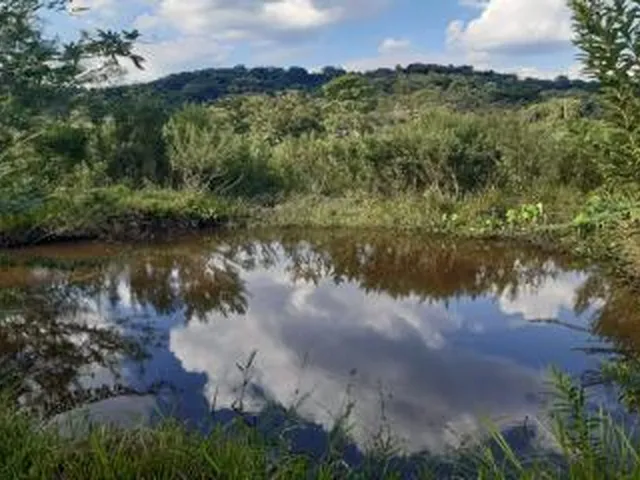 Imagem 5: Sítio para Venda em Cachoeiras de Macacu, Vecchi, 5 dormitórios, 2 suítes, 1 banheiro