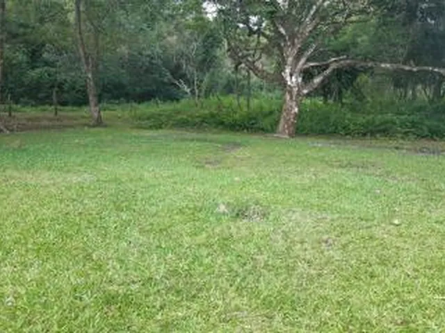 Imagem 14: Sítio para Venda em Cachoeiras de Macacu, Vecchi, 5 dormitórios, 2 suítes, 1 banheiro