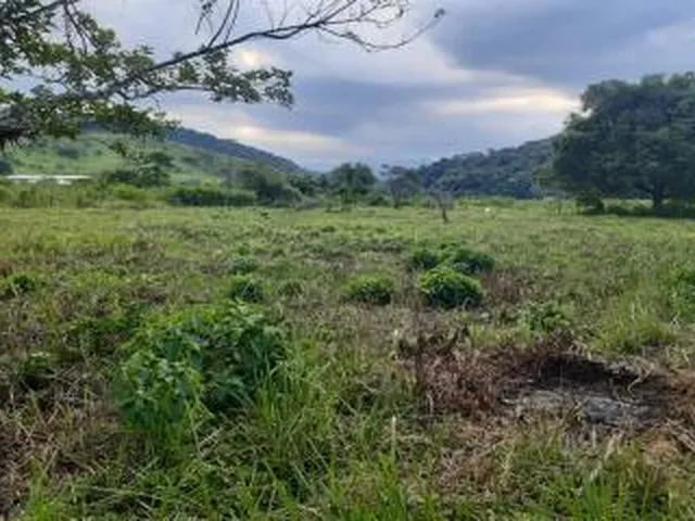 Imagem 12: Sítio para Venda em Cachoeiras de Macacu, Vecchi, 5 dormitórios, 2 suítes, 1 banheiro