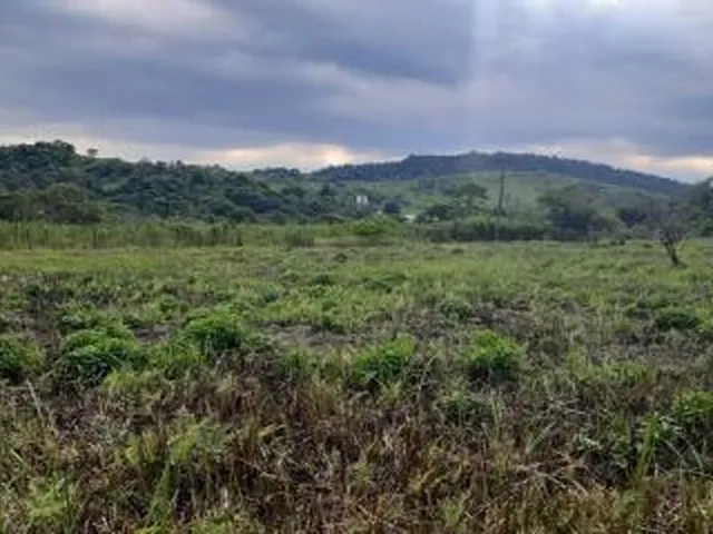 Imagem 13: Sítio para Venda em Cachoeiras de Macacu, Vecchi, 5 dormitórios, 2 suítes, 1 banheiro