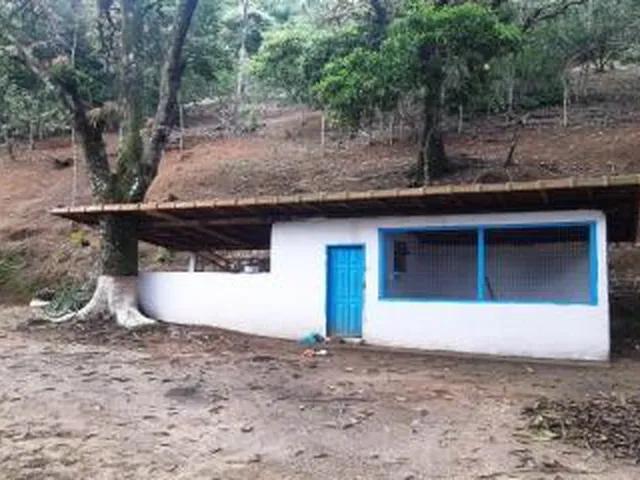 Imagem 8: Sítio para Venda em Cachoeiras de Macacu, Maraporã, 4 dormitórios, 4 suítes, 2