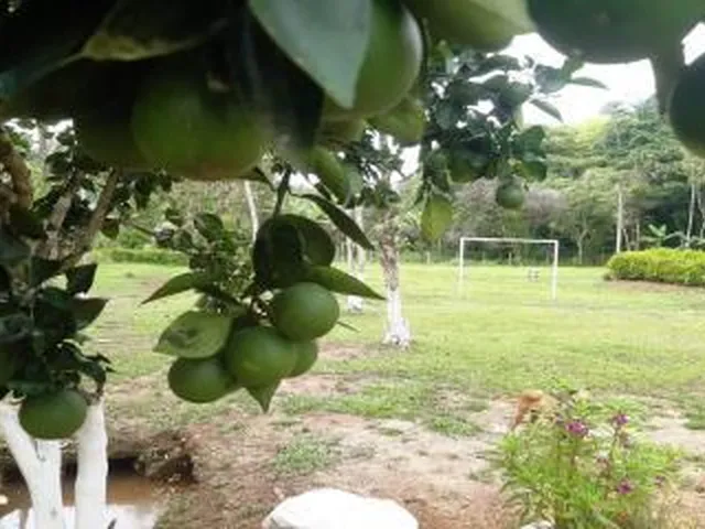 Imagem 6: Sítio para Venda em Cachoeiras de Macacu, Maraporã, 4 dormitórios, 4 suítes, 2