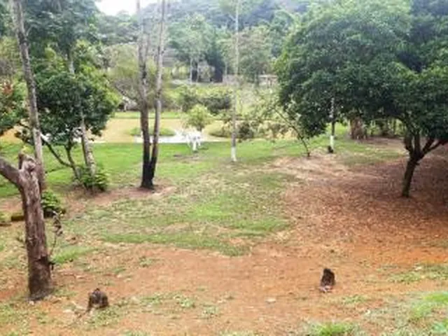 Imagem 7: Sítio para Venda em Cachoeiras de Macacu, Maraporã, 4 dormitórios, 4 suítes, 2