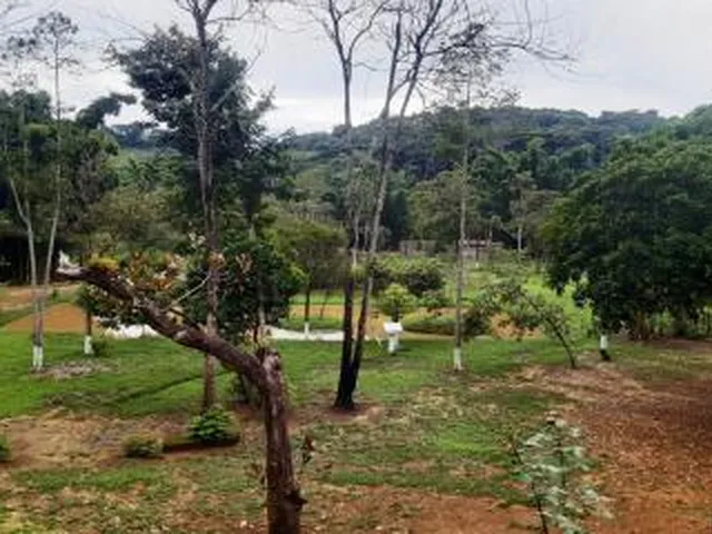Imagem 10: Sítio para Venda em Cachoeiras de Macacu, Maraporã, 4 dormitórios, 4 suítes, 2