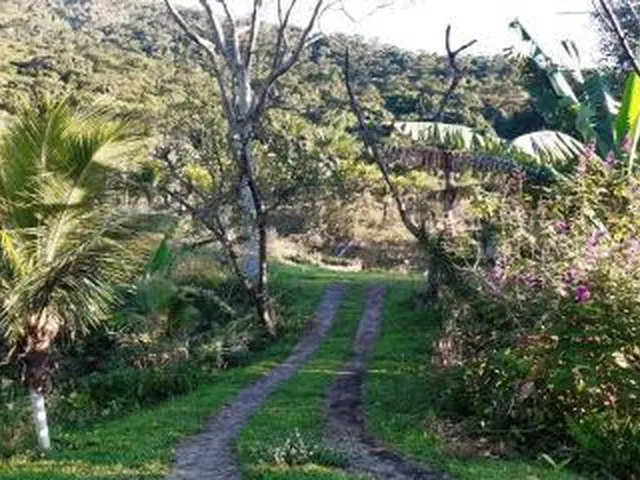 Imagem: Sítio para Venda em Cachoeiras de Macacu