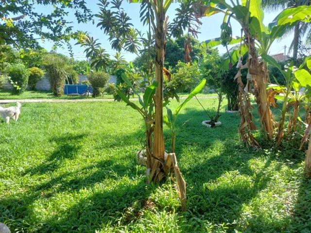 Imagem 10: Sítio para Venda em Cachoeiras de Macacu, Papucaia, 3 dormitórios, 1 suíte, 2